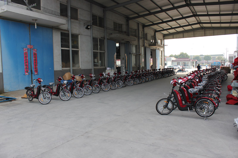 SUNWING_SHENYUN_electric bike_container loading_SKD pack_1