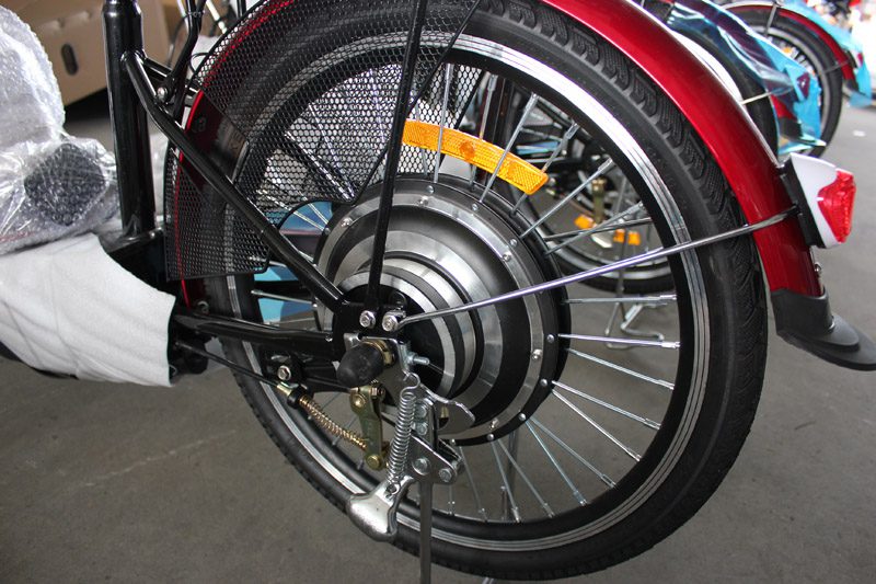 SUNWING_SHENYUN_electric bike_container loading_SKD pack_Euro_5