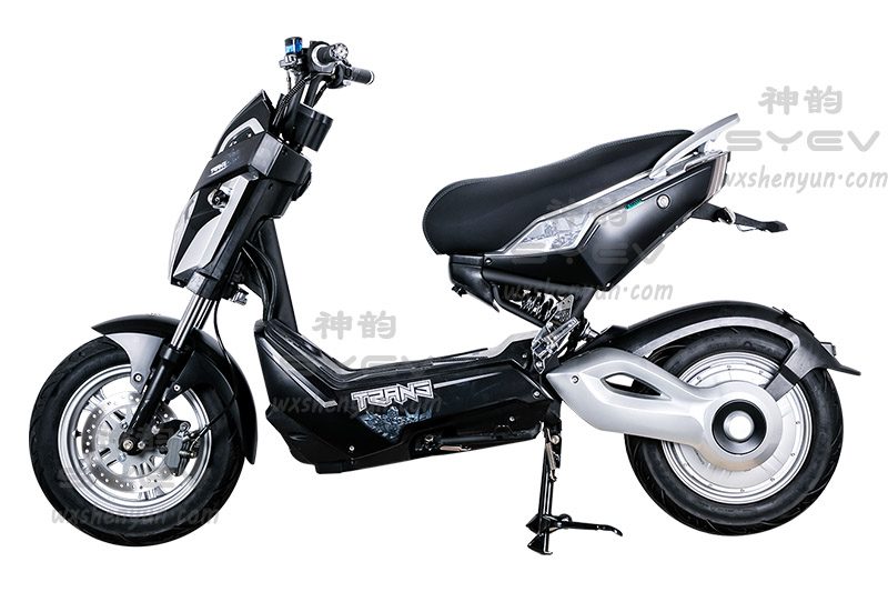 Electric Scooter Lictor 2020, SY-XZJ_White-Silver